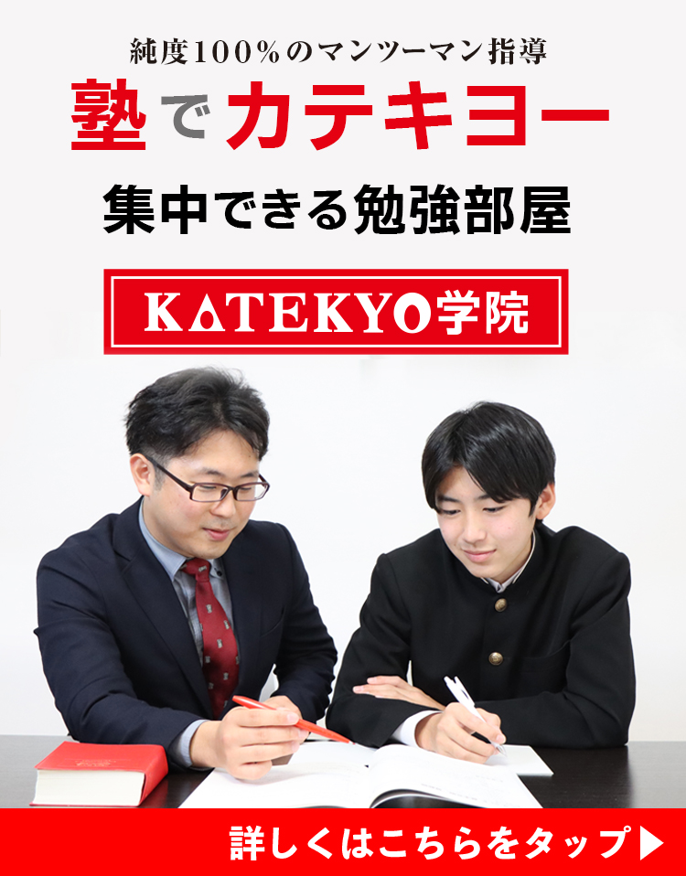 純度１００％のマンツーマン指導 純度１００％のマンツーマン指導 集中できる勉強部屋