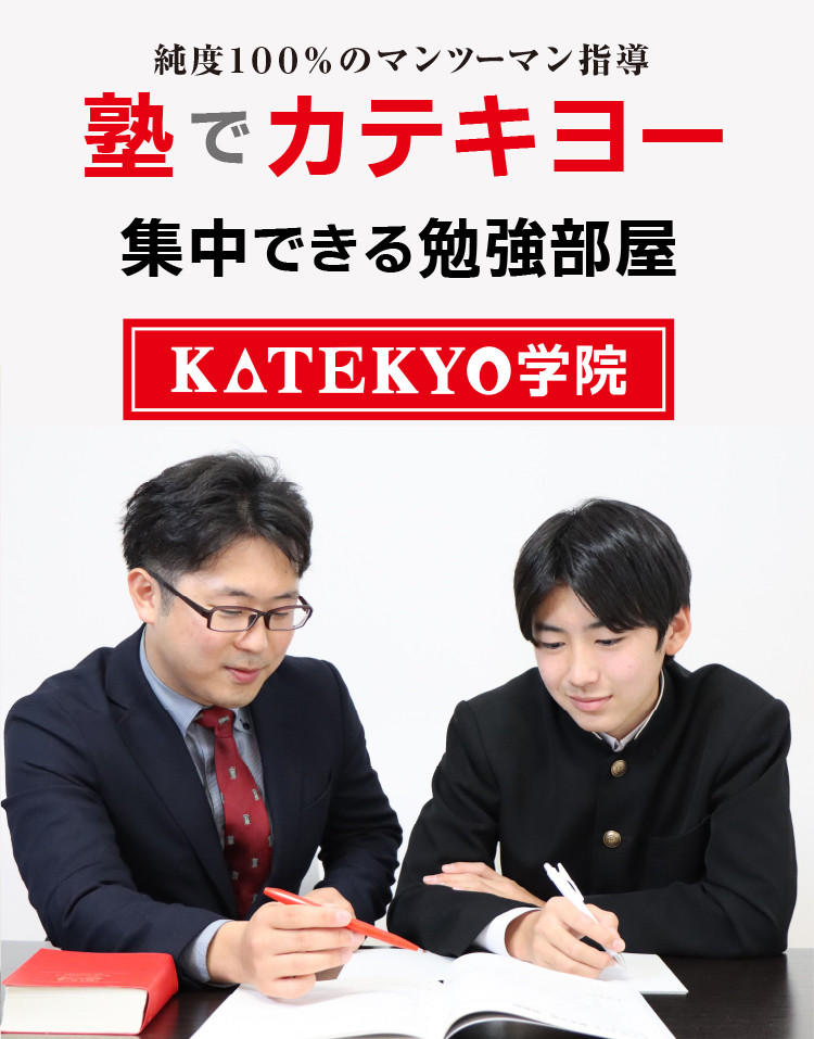 自宅でカテキョー